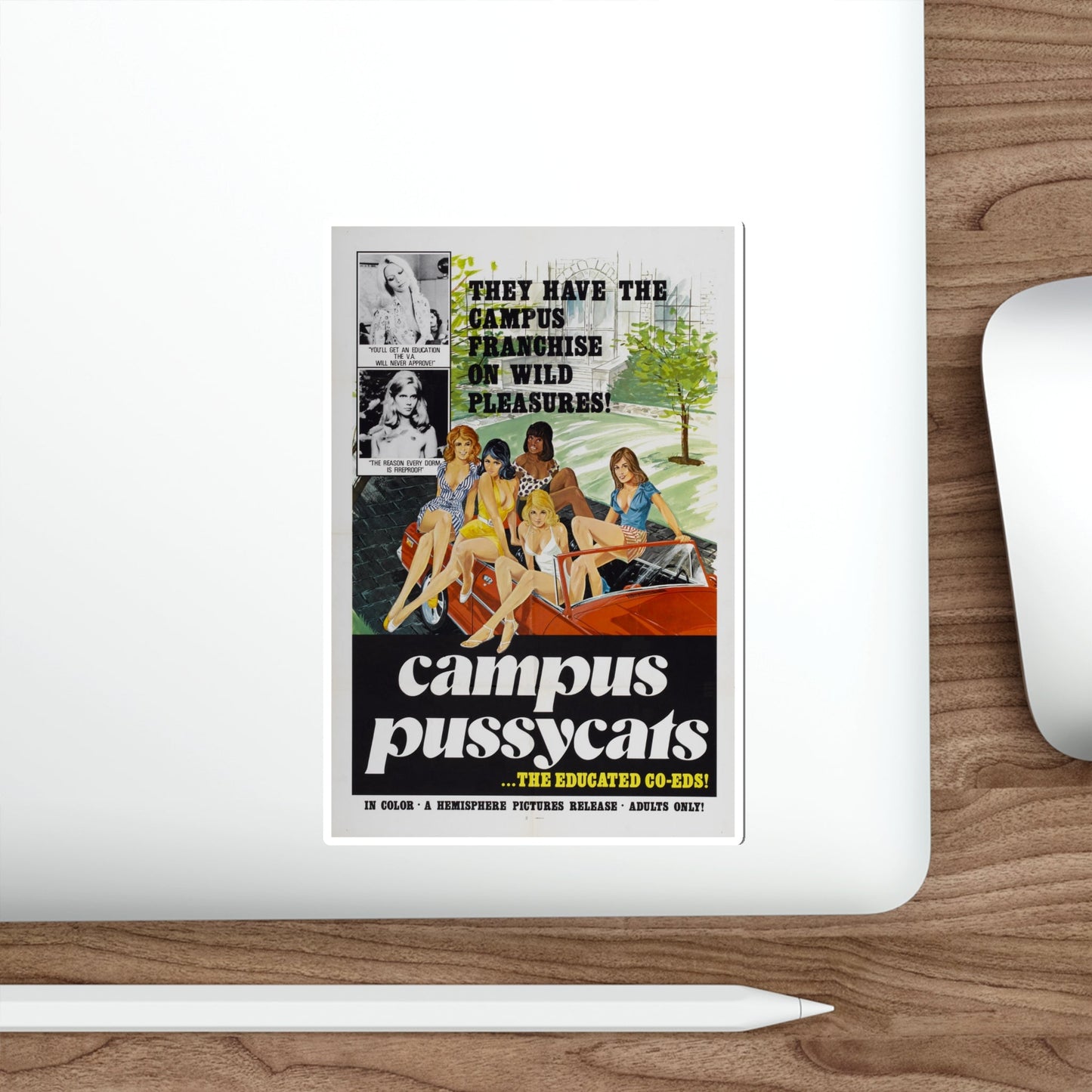 CAMPUS PUSSYCATS 1973 Movie Poster STICKER Vinyl Die-Cut Decal-The Sticker Space