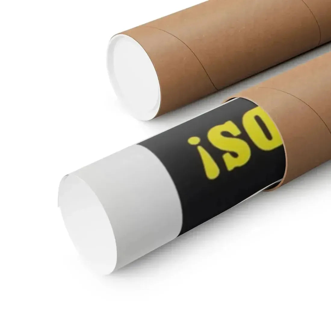 CAMPUS PUSSYCATS 1973 - Paper Movie Poster - The Sticker Space