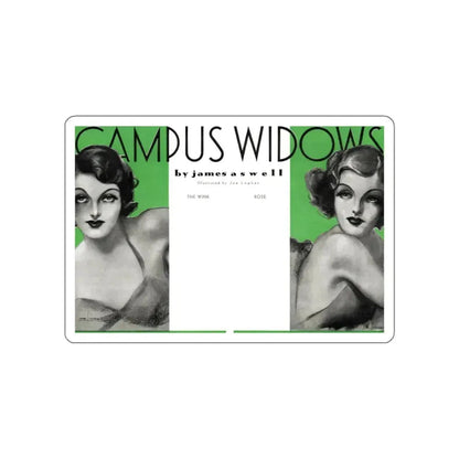 Campus Widows, College Humor and Sense, December 1933 (Magazine Illustration) STICKER Vinyl Die-Cut Decal - The Sticker Space