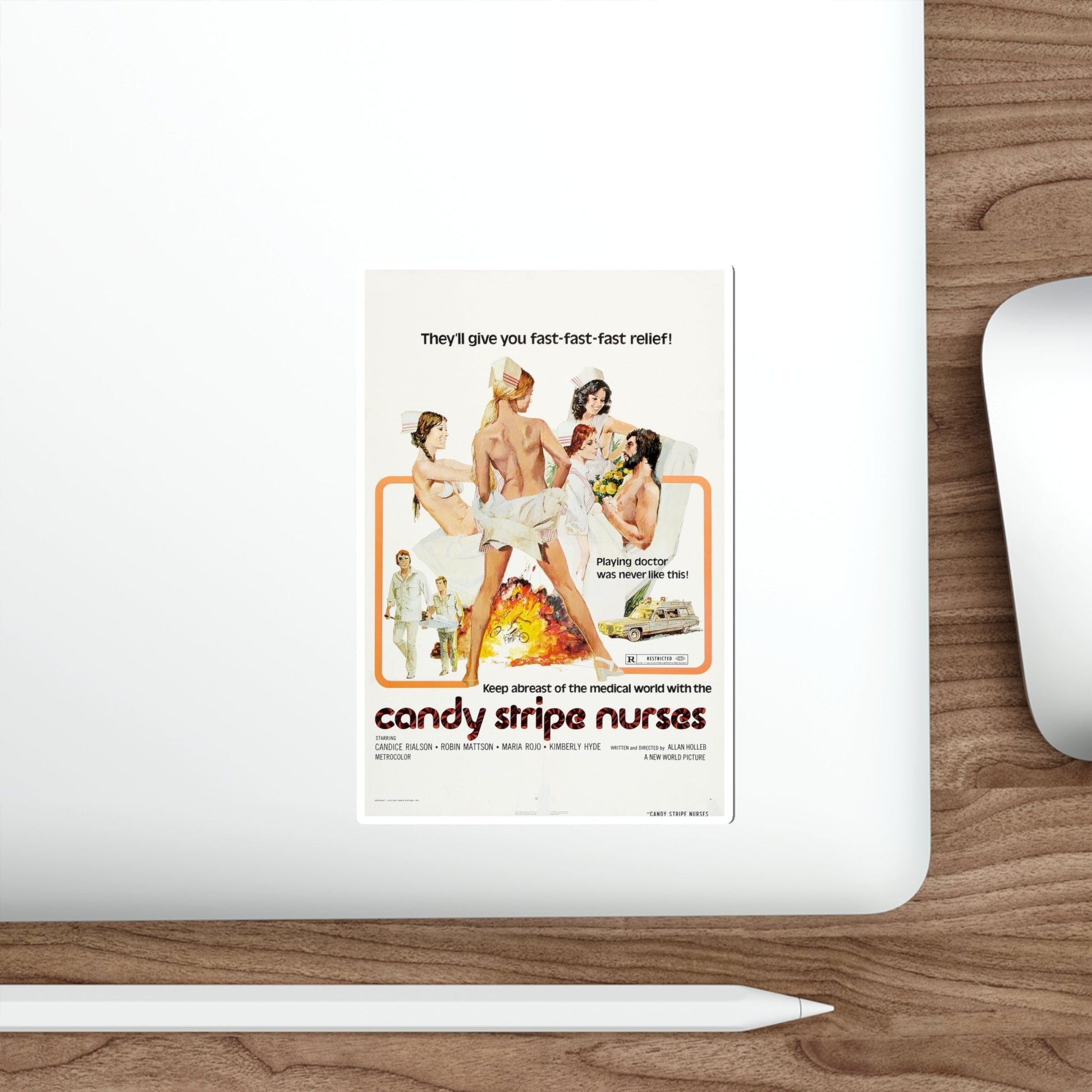 CANDY STRIPE NURSES 1974 Movie Poster STICKER Vinyl Die-Cut Decal-The Sticker Space