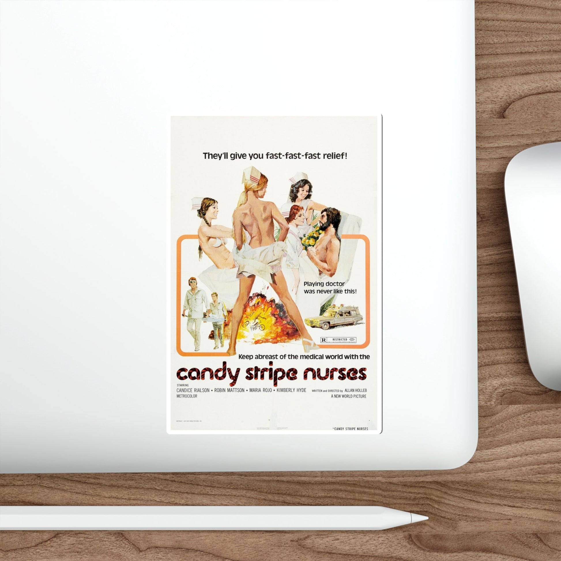 CANDY STRIPE NURSES 1974 Movie Poster STICKER Vinyl Die-Cut Decal-The Sticker Space