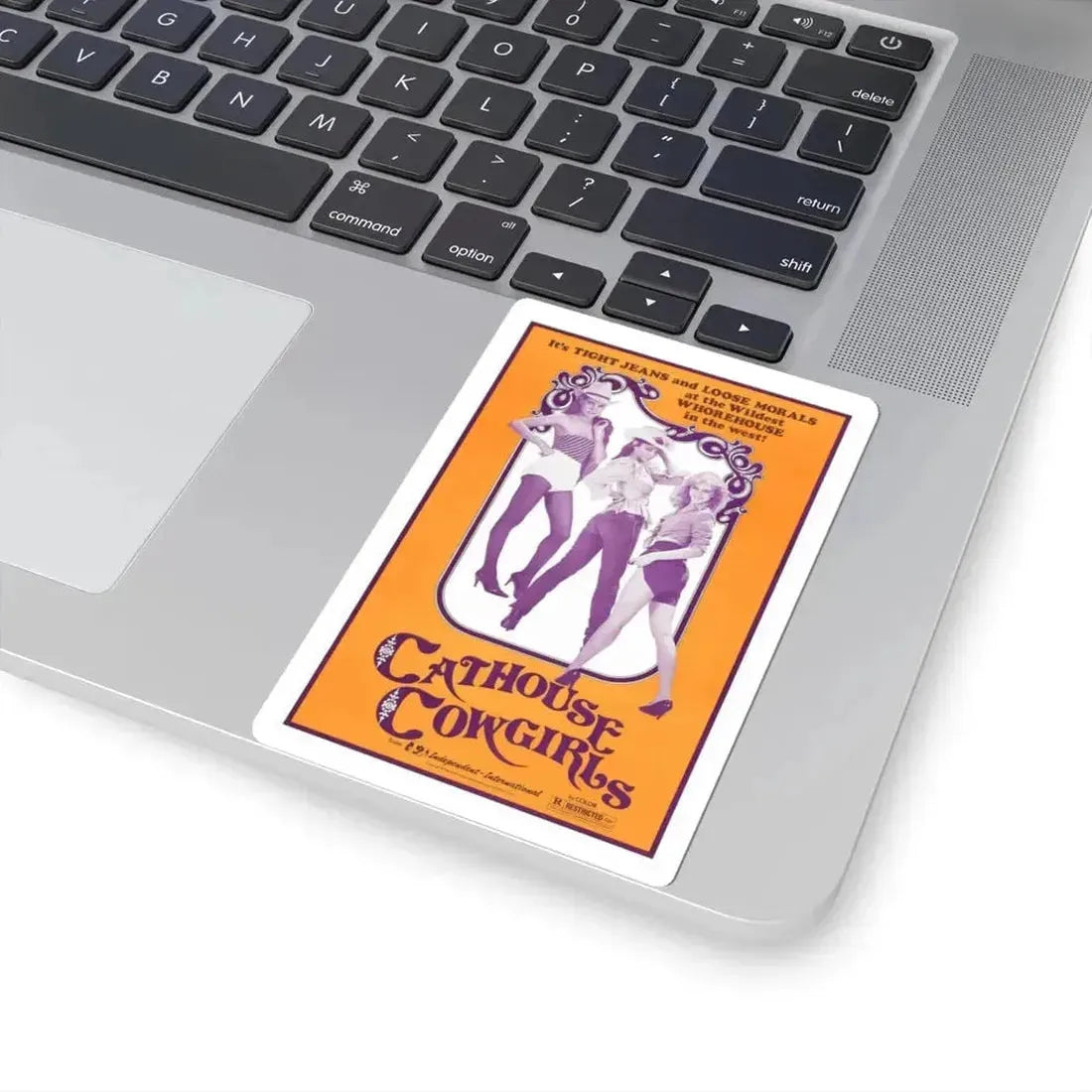 CATHOUSE COWGIRLS (BLAZING STEWARDESSES) 1975 Movie Poster - STICKER Vinyl Kiss-Cut Decal - The Sticker Space