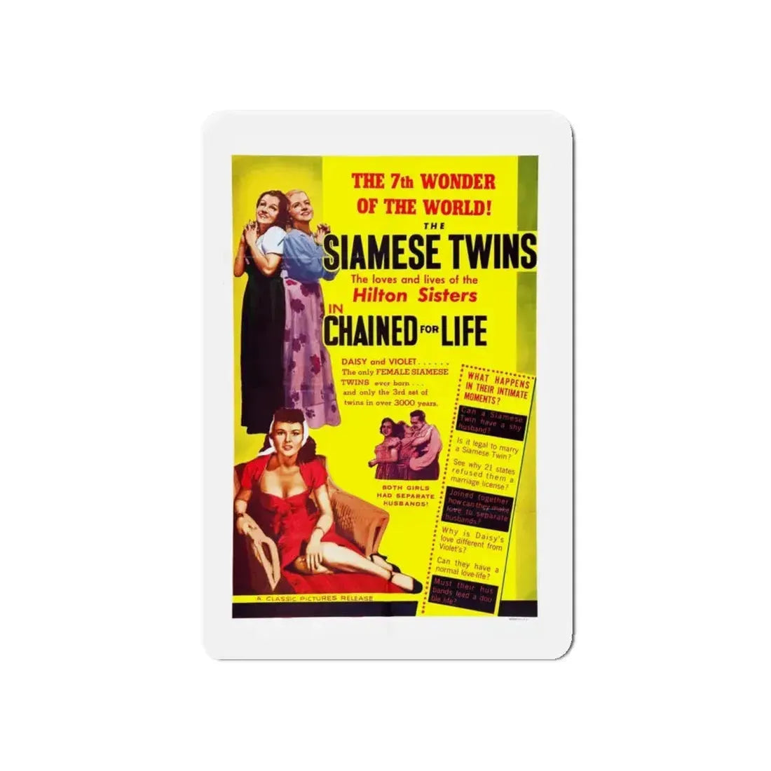 CHAINED FOR LIFE 1952 Movie Poster - Refrigerator Magnet 5 Inch - The Sticker Space