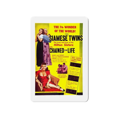 CHAINED FOR LIFE 1952 Movie Poster - Refrigerator Magnet - The Sticker Space