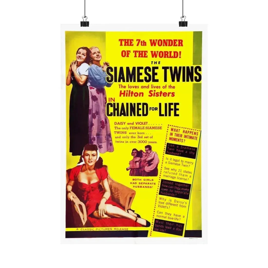 CHAINED FOR LIFE 1952 - Paper Movie Poster 12″ x 18″ Matte - The Sticker Space