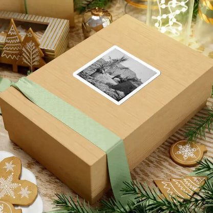 Charleston, S.C. Mounted Gun, Parapet of Fort Moultrie (U.S. Civil War) STICKER Vinyl Kiss-Cut Decal - The Sticker Space