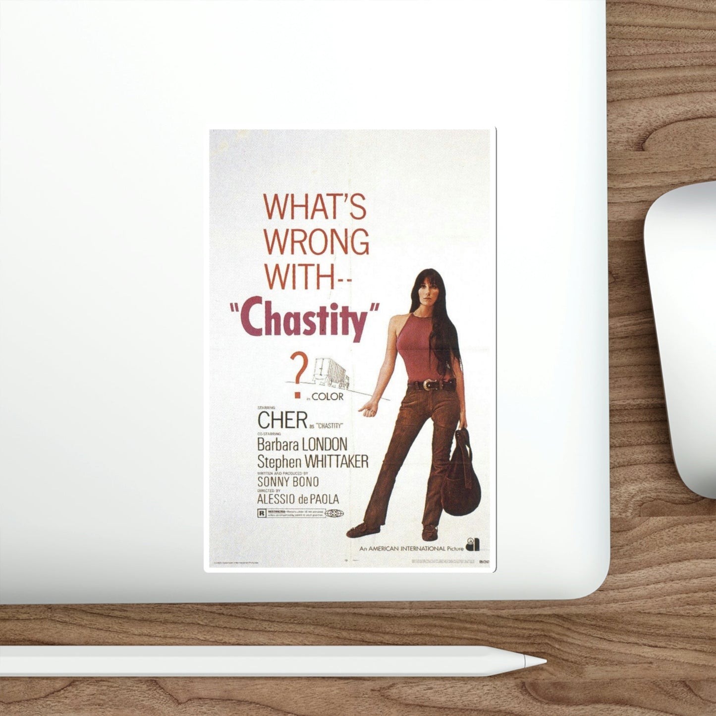 Chastity 1969 Movie Poster STICKER Vinyl Die-Cut Decal-The Sticker Space