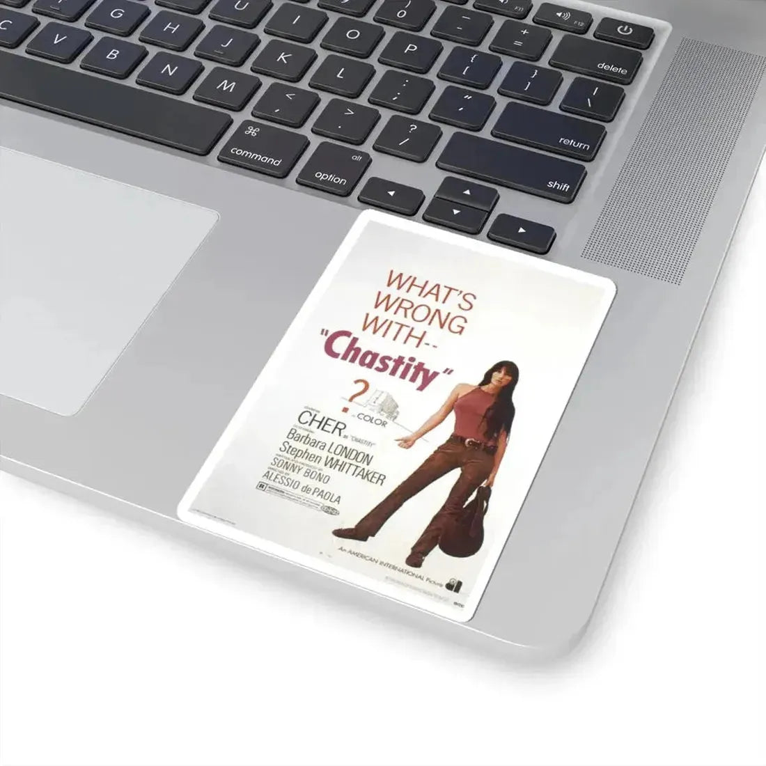 Chastity 1969 Movie Poster - STICKER Vinyl Kiss-Cut Decal - The Sticker Space