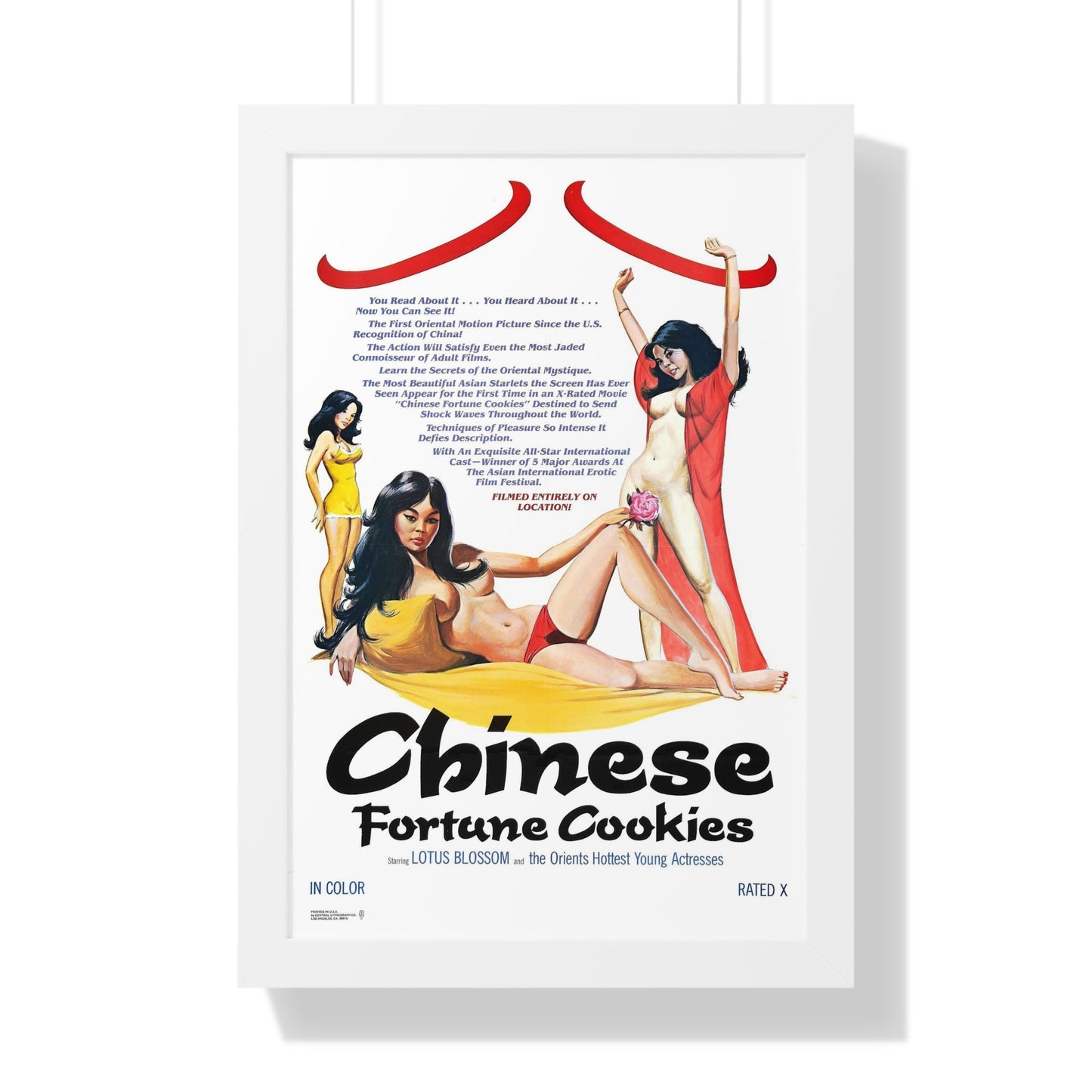 CHINESE FORTUNE COOKIES 1980 - Framed Movie Poster-16″ x 24″-The Sticker Space