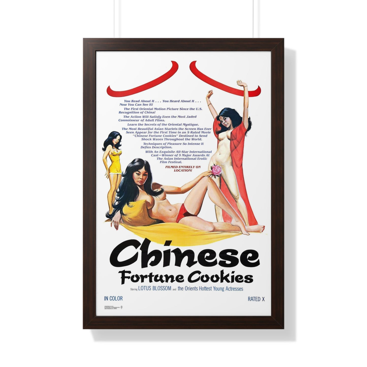 CHINESE FORTUNE COOKIES 1980 - Framed Movie Poster-20" x 30"-The Sticker Space