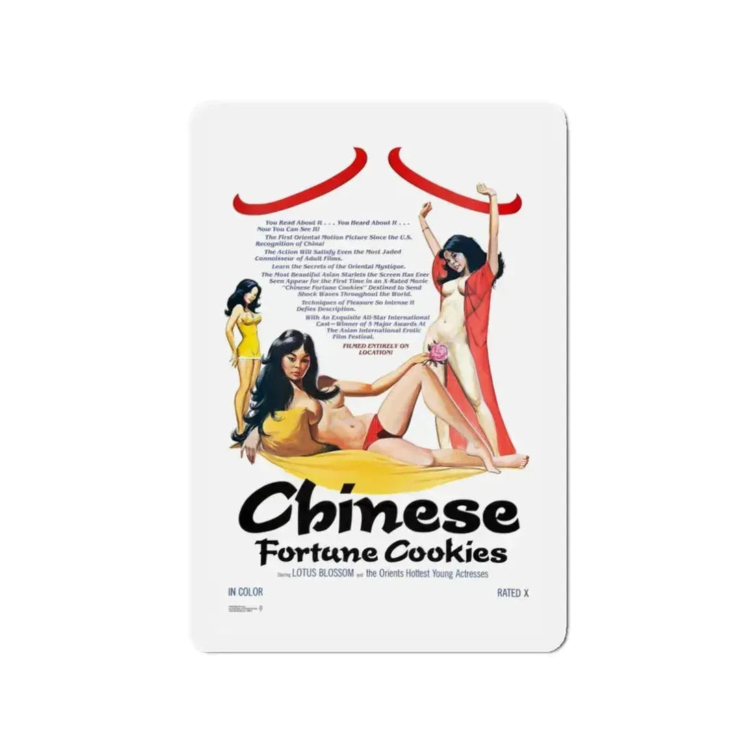 CHINESE FORTUNE COOKIES 1980 Movie Poster - Refrigerator Magnet 3 Inch - The Sticker Space