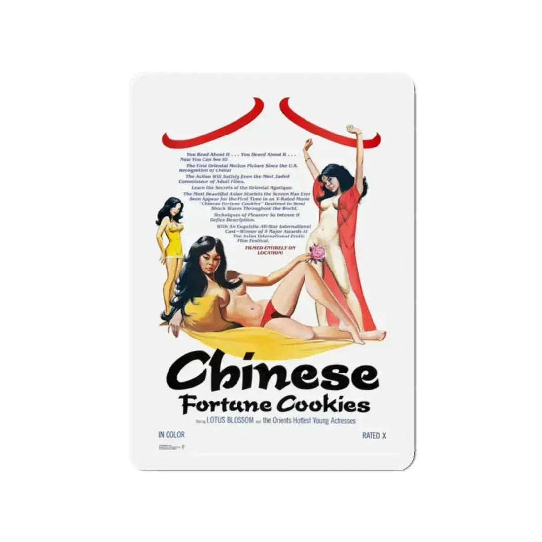 CHINESE FORTUNE COOKIES 1980 Movie Poster - Refrigerator Magnet - The Sticker Space