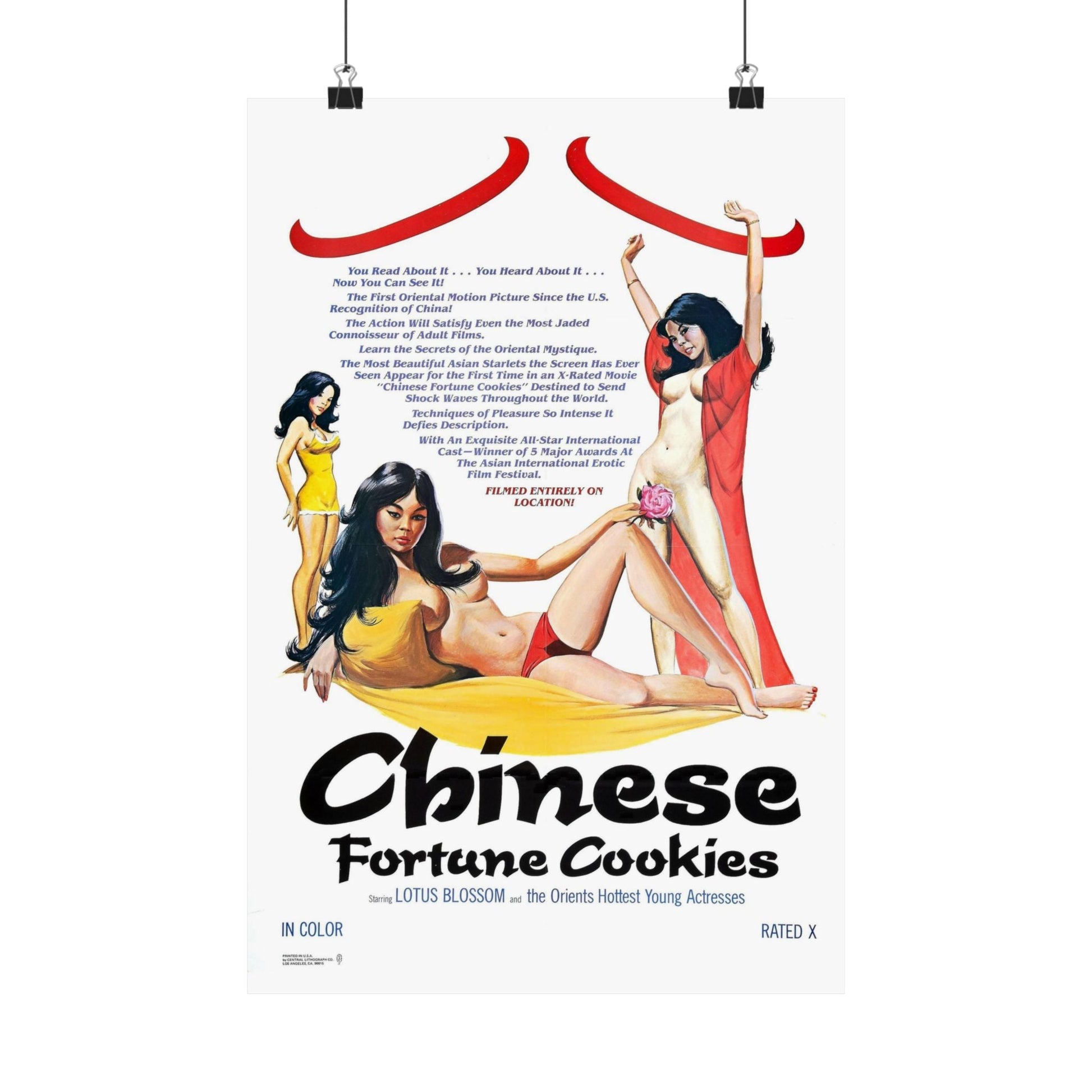 CHINESE FORTUNE COOKIES 1980 - Paper Movie Poster-12″ x 18″-The Sticker Space