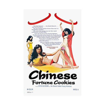 CHINESE FORTUNE COOKIES 1980 - Paper Movie Poster-The Sticker Space