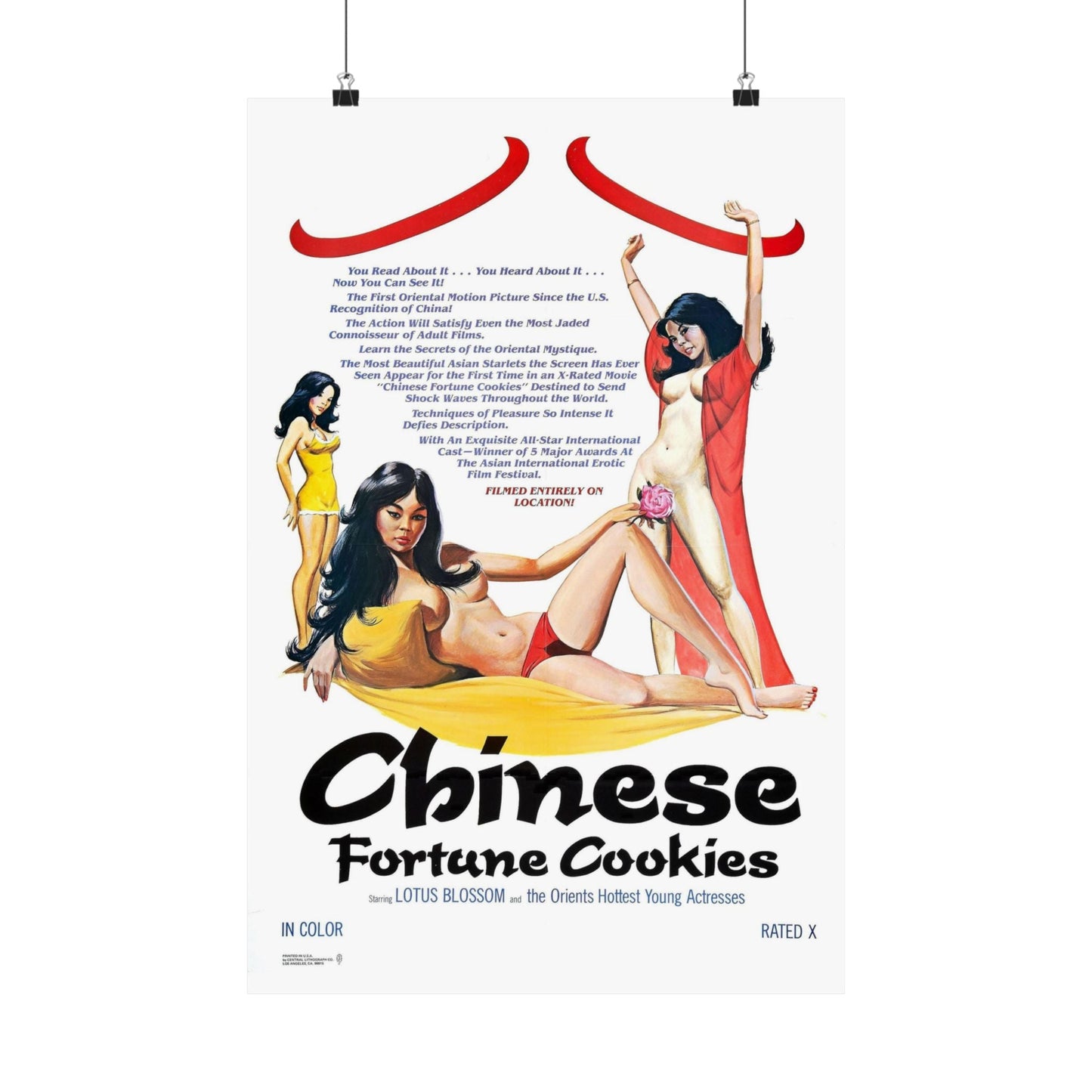 CHINESE FORTUNE COOKIES 1980 - Paper Movie Poster-16″ x 24″-The Sticker Space