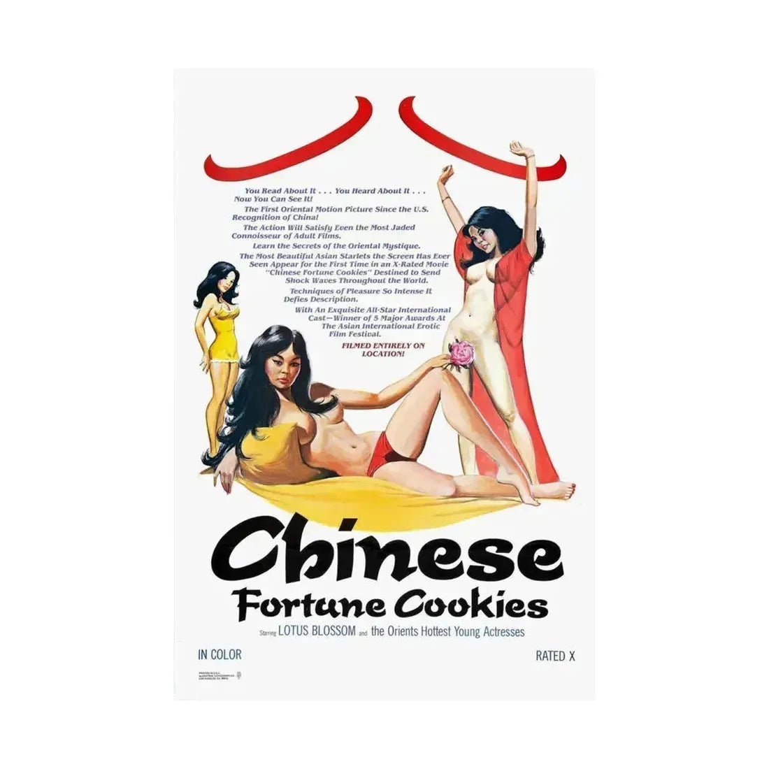 CHINESE FORTUNE COOKIES 1980 - Paper Movie Poster - The Sticker Space