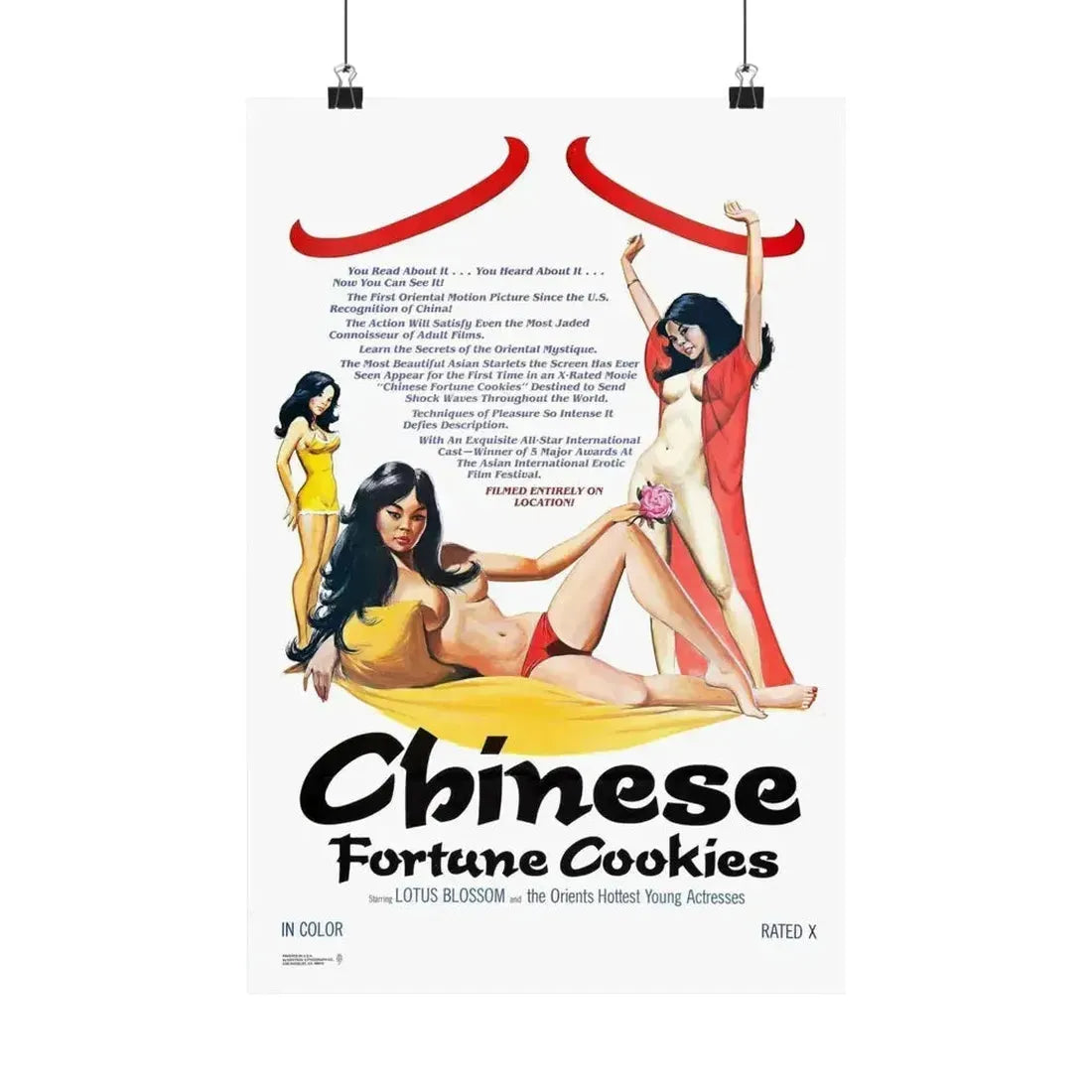 CHINESE FORTUNE COOKIES 1980 - Paper Movie Poster - The Sticker Space
