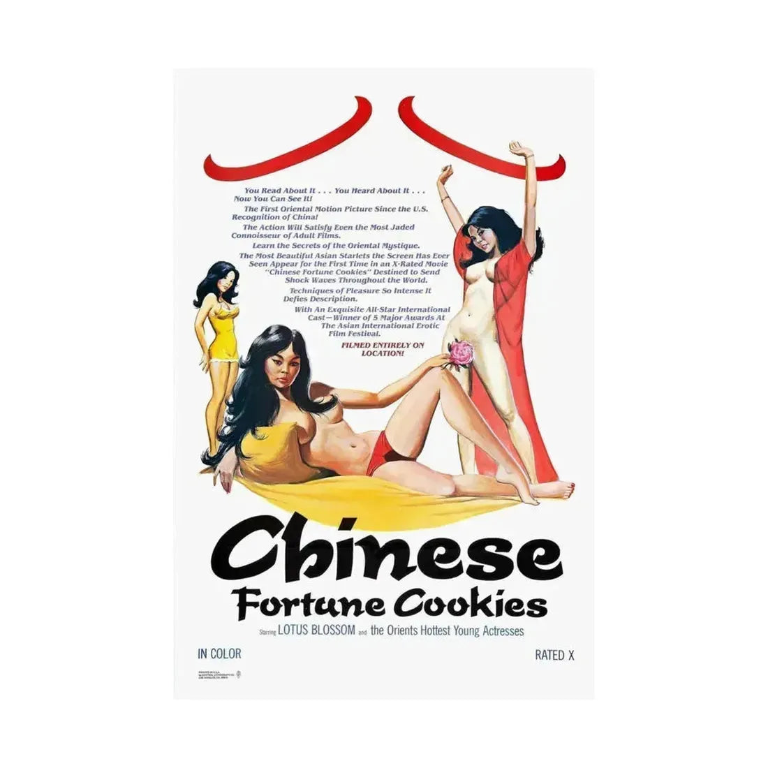 CHINESE FORTUNE COOKIES 1980 - Paper Movie Poster - The Sticker Space