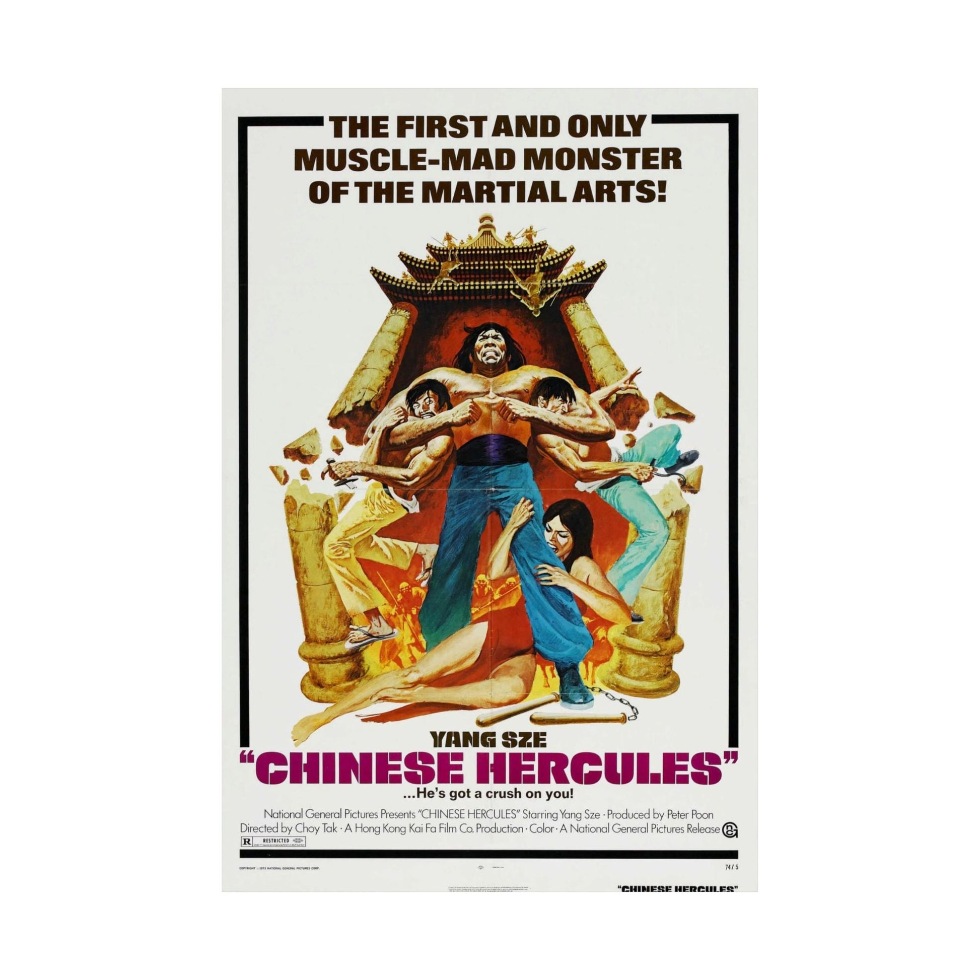 CHINESE HERCULES 1973 - Paper Movie Poster-The Sticker Space