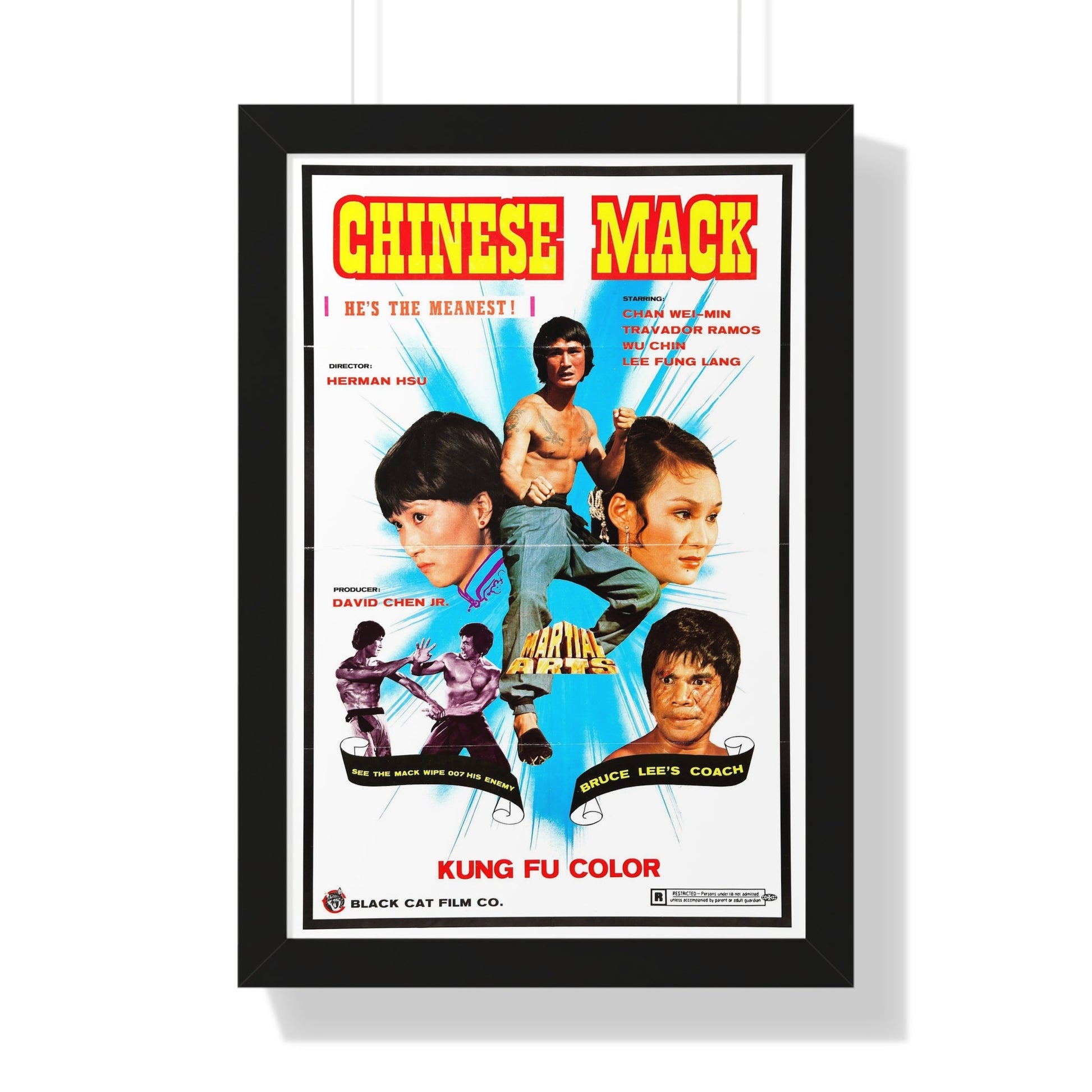 CHINESE MACK (CHINESE GODFATHER) 1974 - Framed Movie Poster-16″ x 24″-The Sticker Space