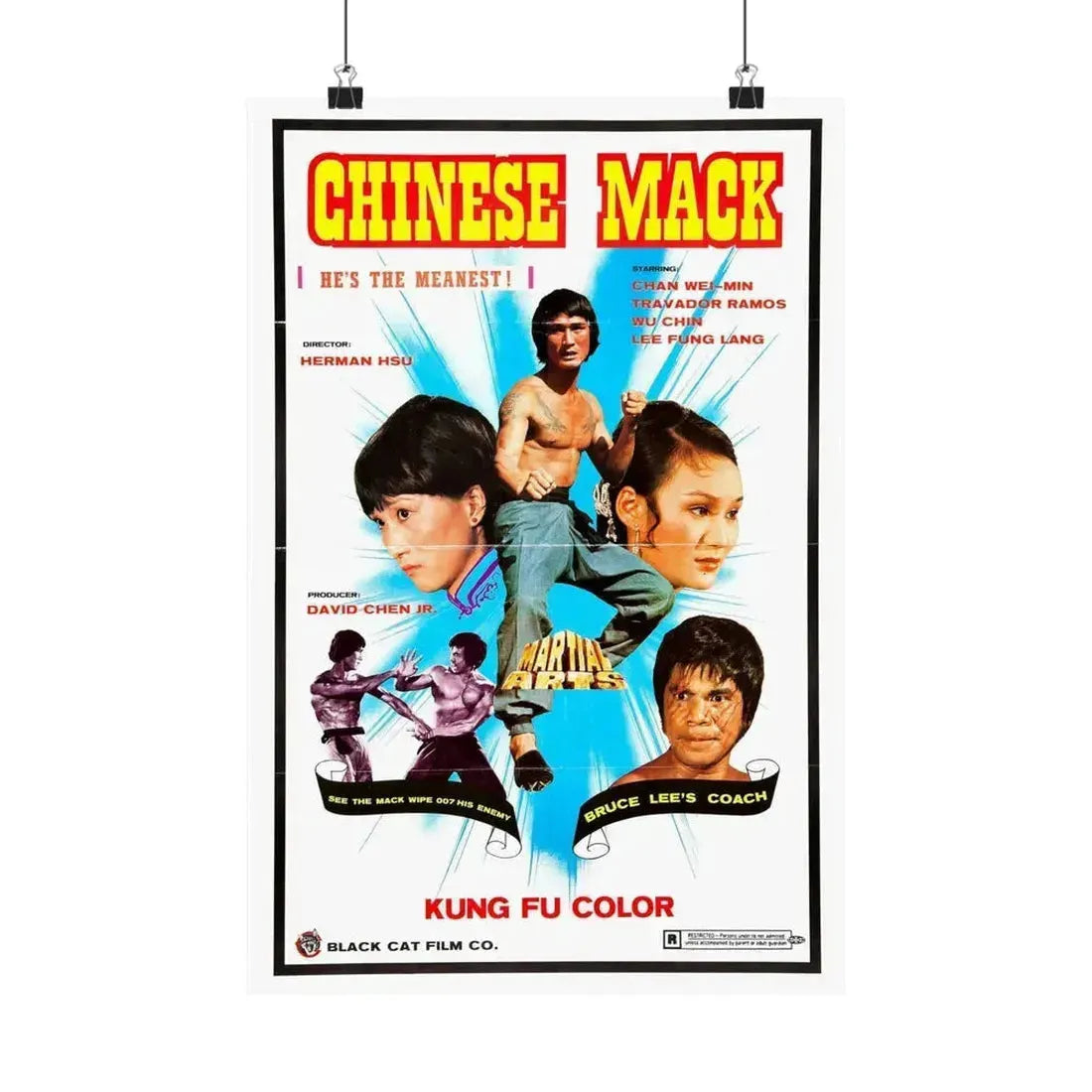 CHINESE MACK (CHINESE GODFATHER) 1974 - Paper Movie Poster 12″ x 18″ Matte - The Sticker Space