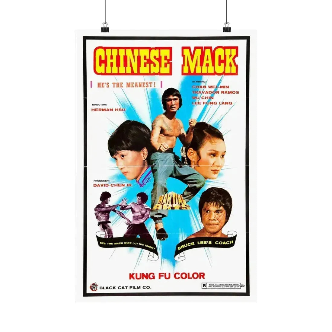 CHINESE MACK (CHINESE GODFATHER) 1974 - Paper Movie Poster 16″ x 24″ Matte - The Sticker Space