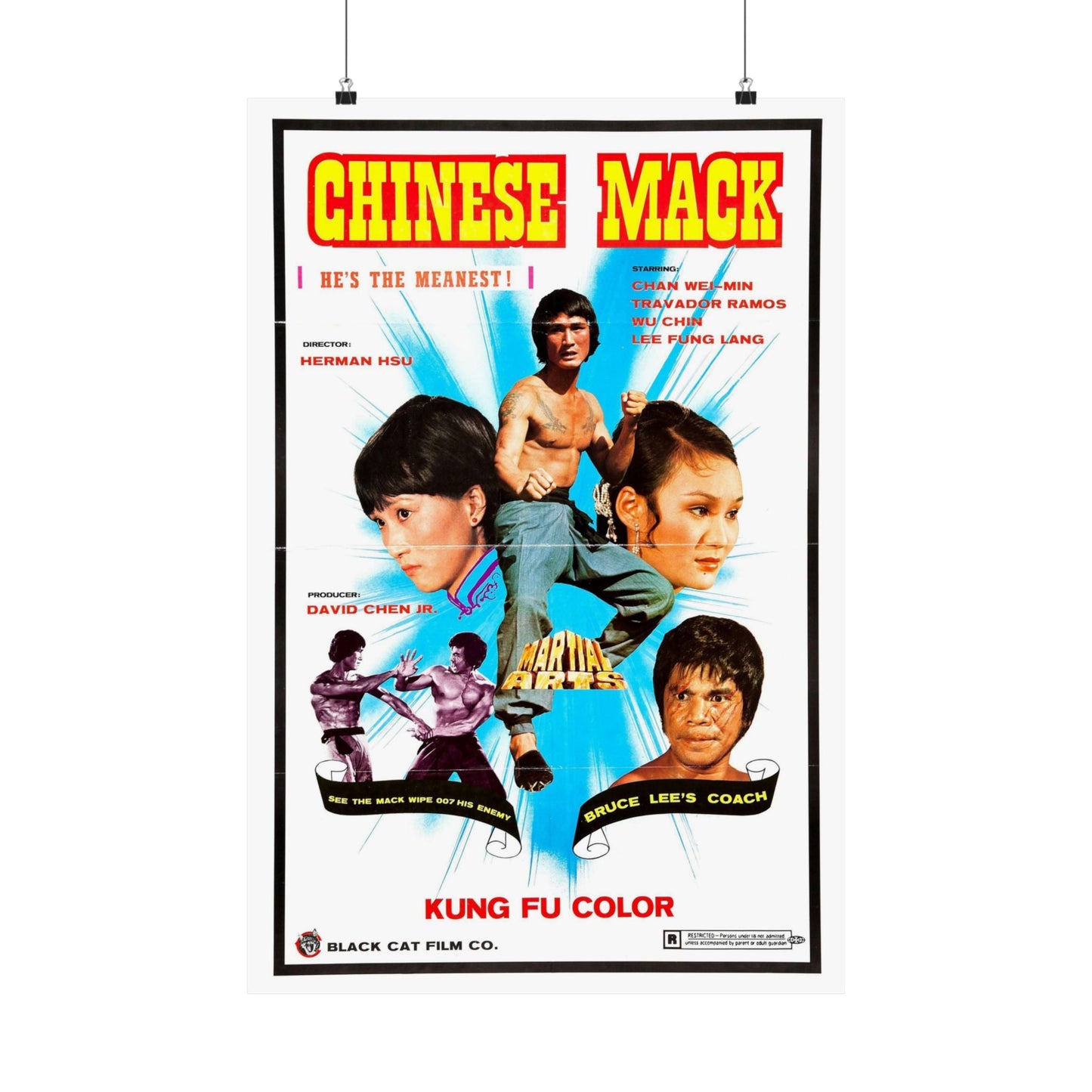 CHINESE MACK (CHINESE GODFATHER) 1974 - Paper Movie Poster-20″ x 30″-The Sticker Space