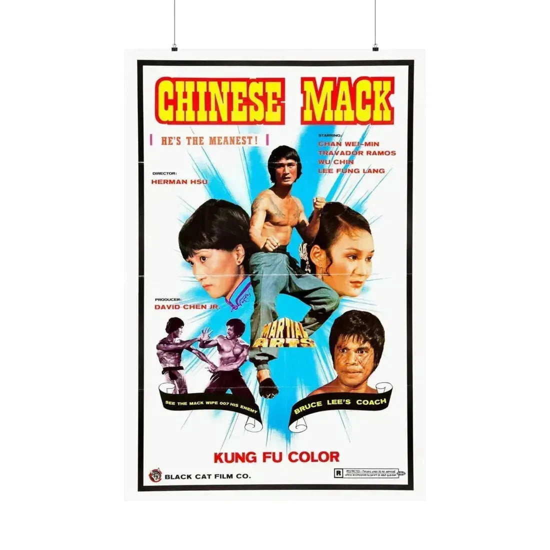 CHINESE MACK (CHINESE GODFATHER) 1974 - Paper Movie Poster 36" x 54" Matte - The Sticker Space