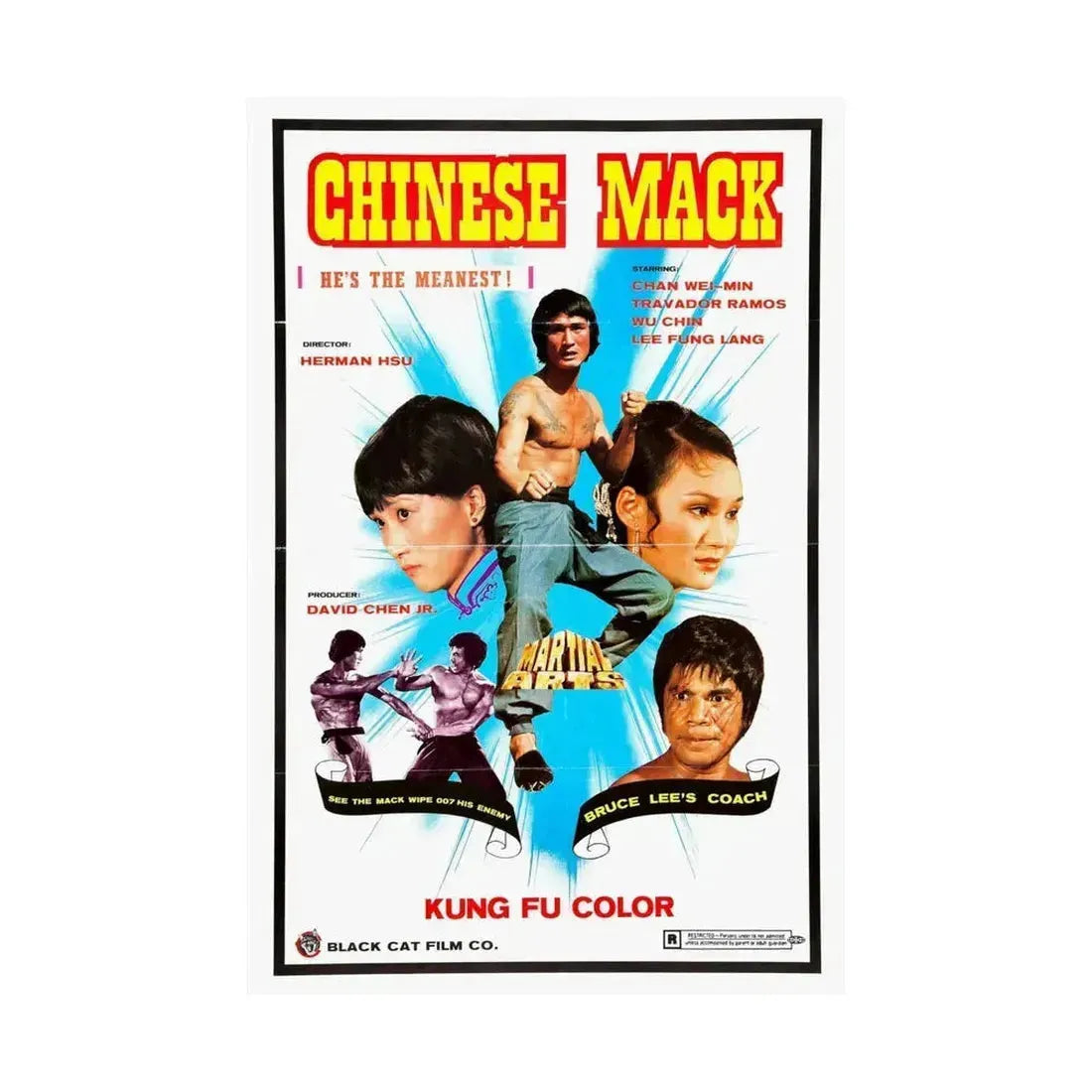 CHINESE MACK (CHINESE GODFATHER) 1974 - Paper Movie Poster - The Sticker Space