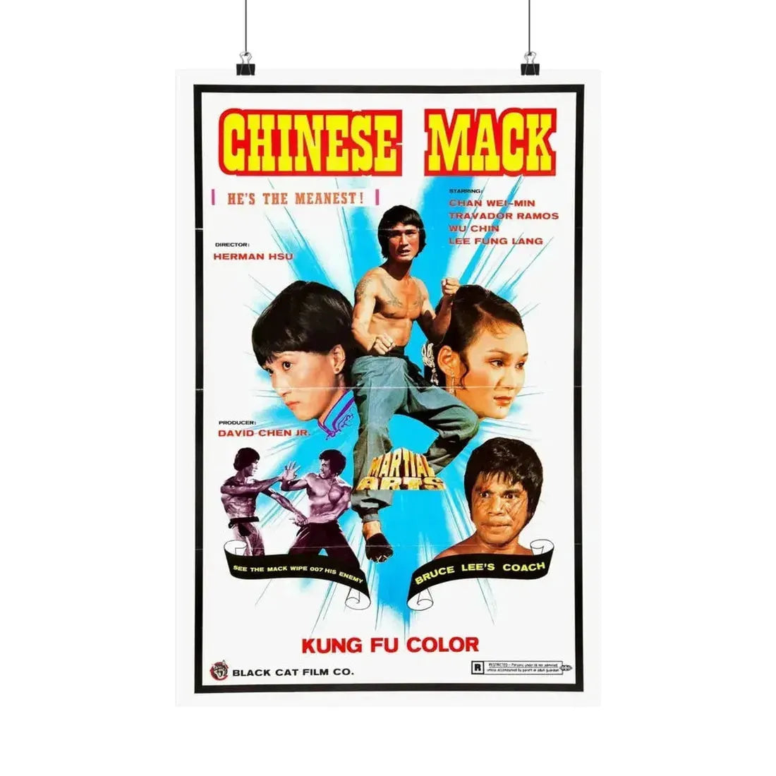 CHINESE MACK (CHINESE GODFATHER) 1974 - Paper Movie Poster - The Sticker Space