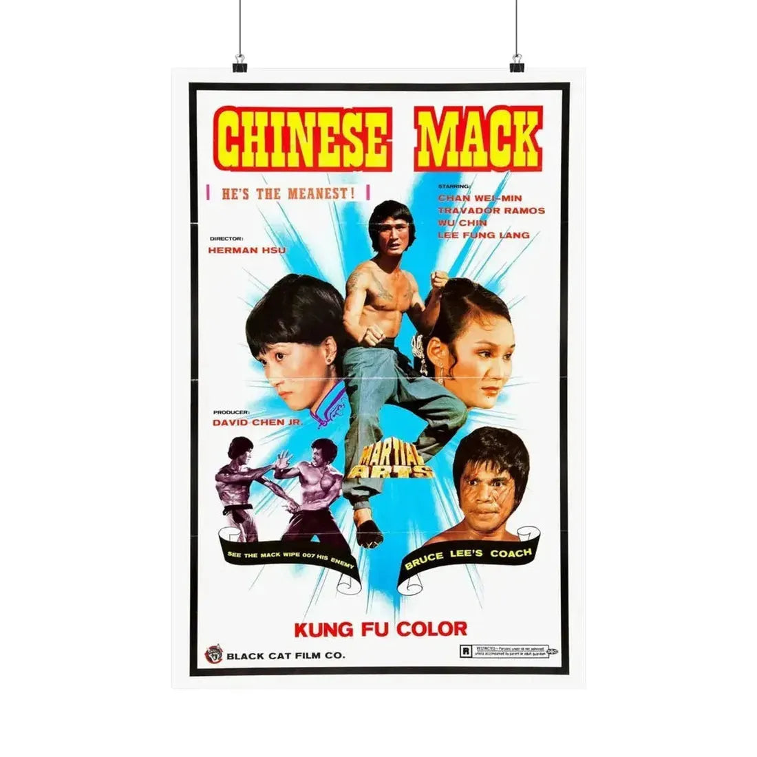 CHINESE MACK (CHINESE GODFATHER) 1974 - Paper Movie Poster - The Sticker Space
