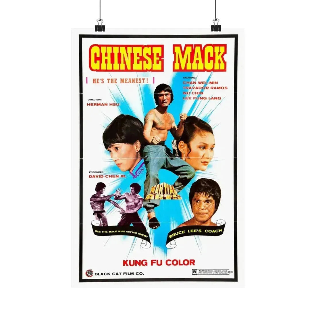 CHINESE MACK (CHINESE GODFATHER) 1974 - Paper Movie Poster - The Sticker Space