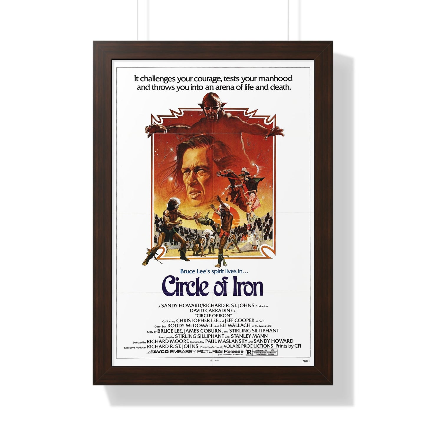 CIRCLE OF IRON 1978 - Framed Movie Poster-16″ x 24″-The Sticker Space