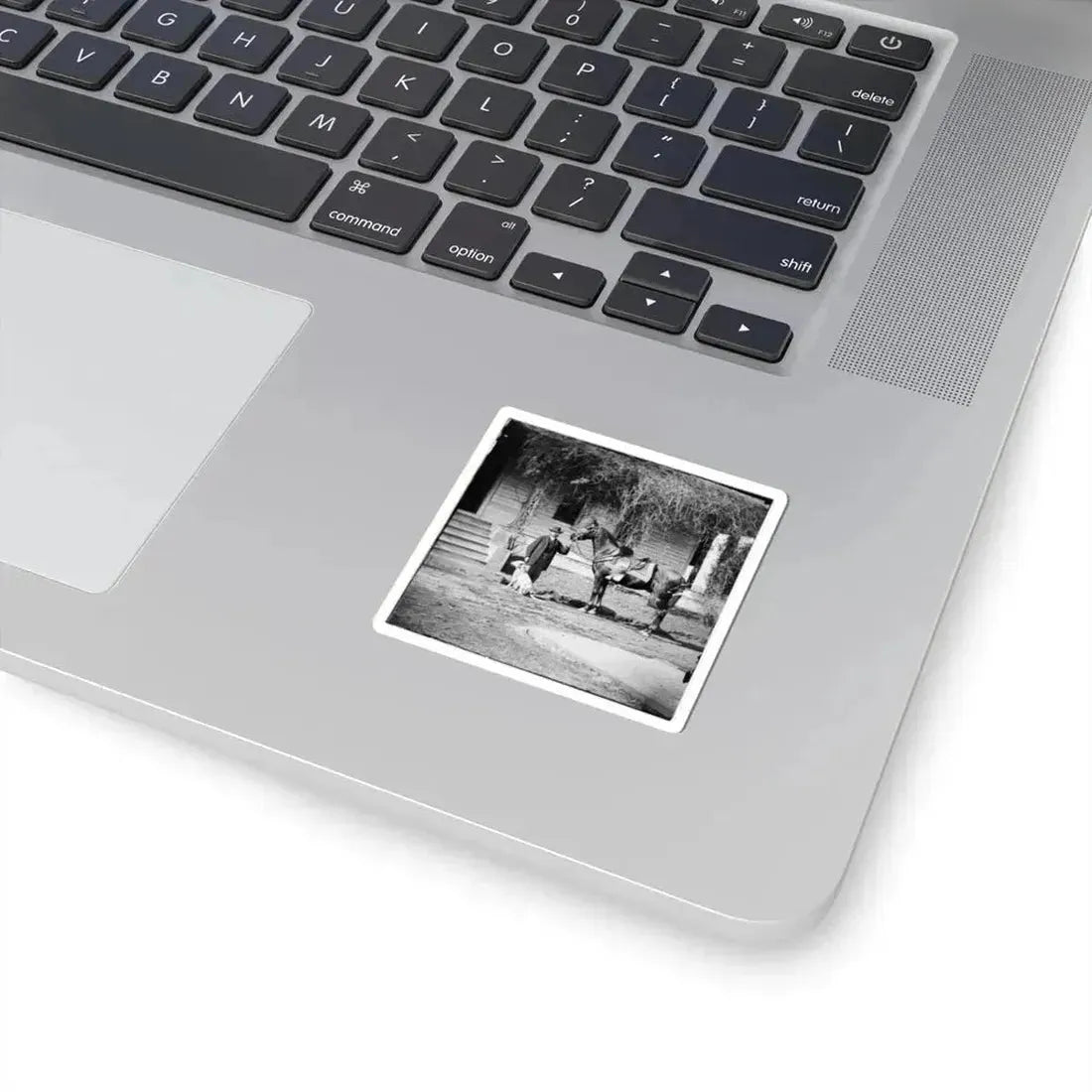 City Point, Virginia. Gen. Rufus Ingalls' Horse and Dog (U.S. Civil War) STICKER Vinyl Kiss-Cut Decal - The Sticker Space