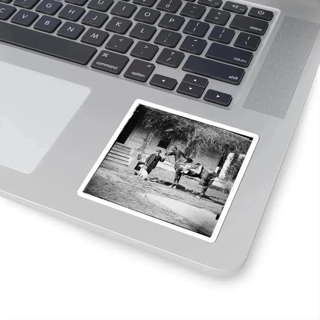 City Point, Virginia. Gen. Rufus Ingalls' Horse and Dog (U.S. Civil War) STICKER Vinyl Kiss-Cut Decal - The Sticker Space