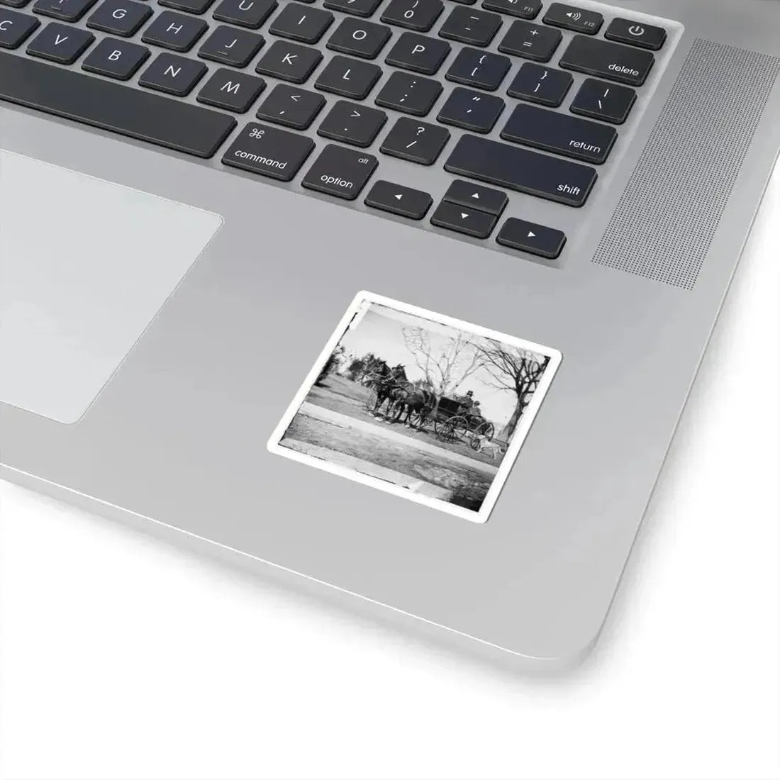 City Point, Virginia. Gen. Rufus Ingalls in Buggy With Colored Boy (U.S. Civil War) STICKER Vinyl Kiss-Cut Decal - The Sticker Space