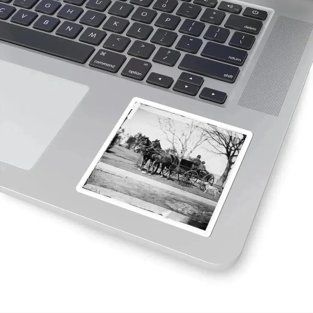 City Point, Virginia. Gen. Rufus Ingalls in Buggy With Colored Boy (U.S. Civil War) STICKER Vinyl Kiss-Cut Decal - The Sticker Space