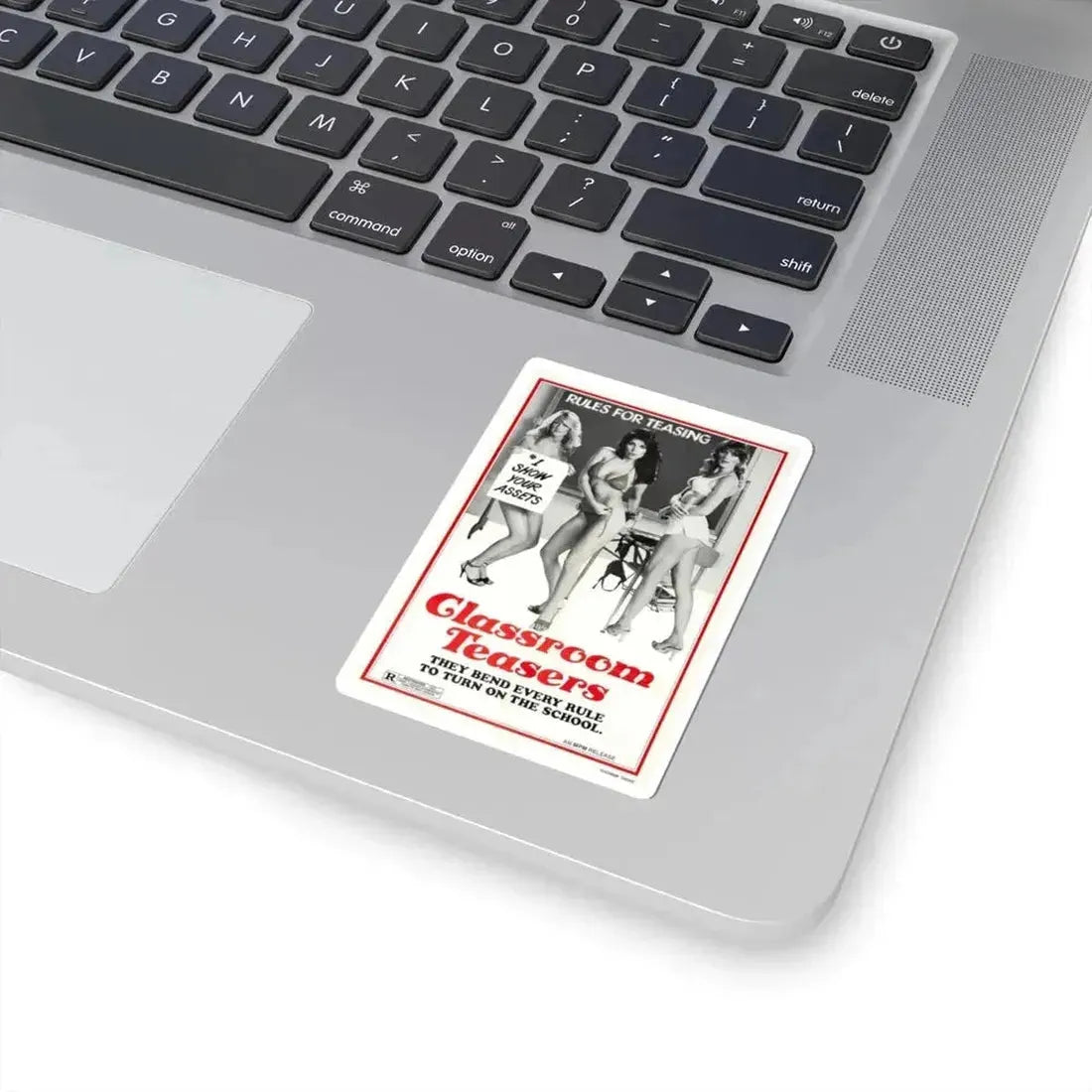 CLASSROOM TEASERS 1976 Movie Poster - STICKER Vinyl Kiss-Cut Decal - The Sticker Space