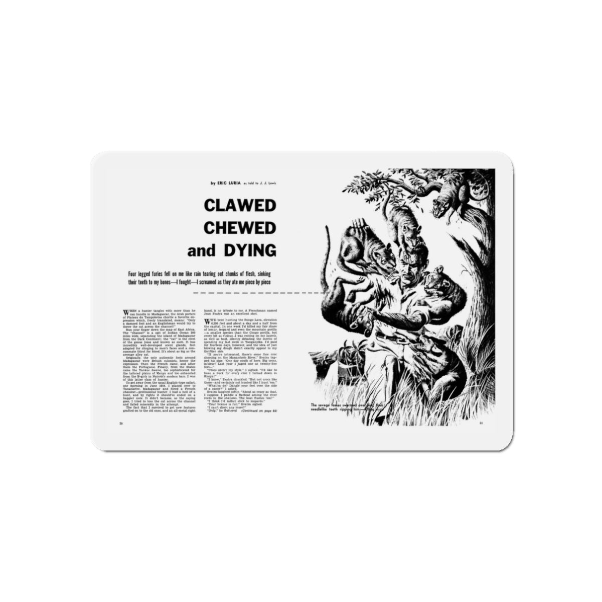 Clawed Chewed and Dying, True Men Stories, December 1958 (Magazine Illustration) Refrigerator Magnet-3" x 3"-Die-Cut-1 pc-The Sticker Space