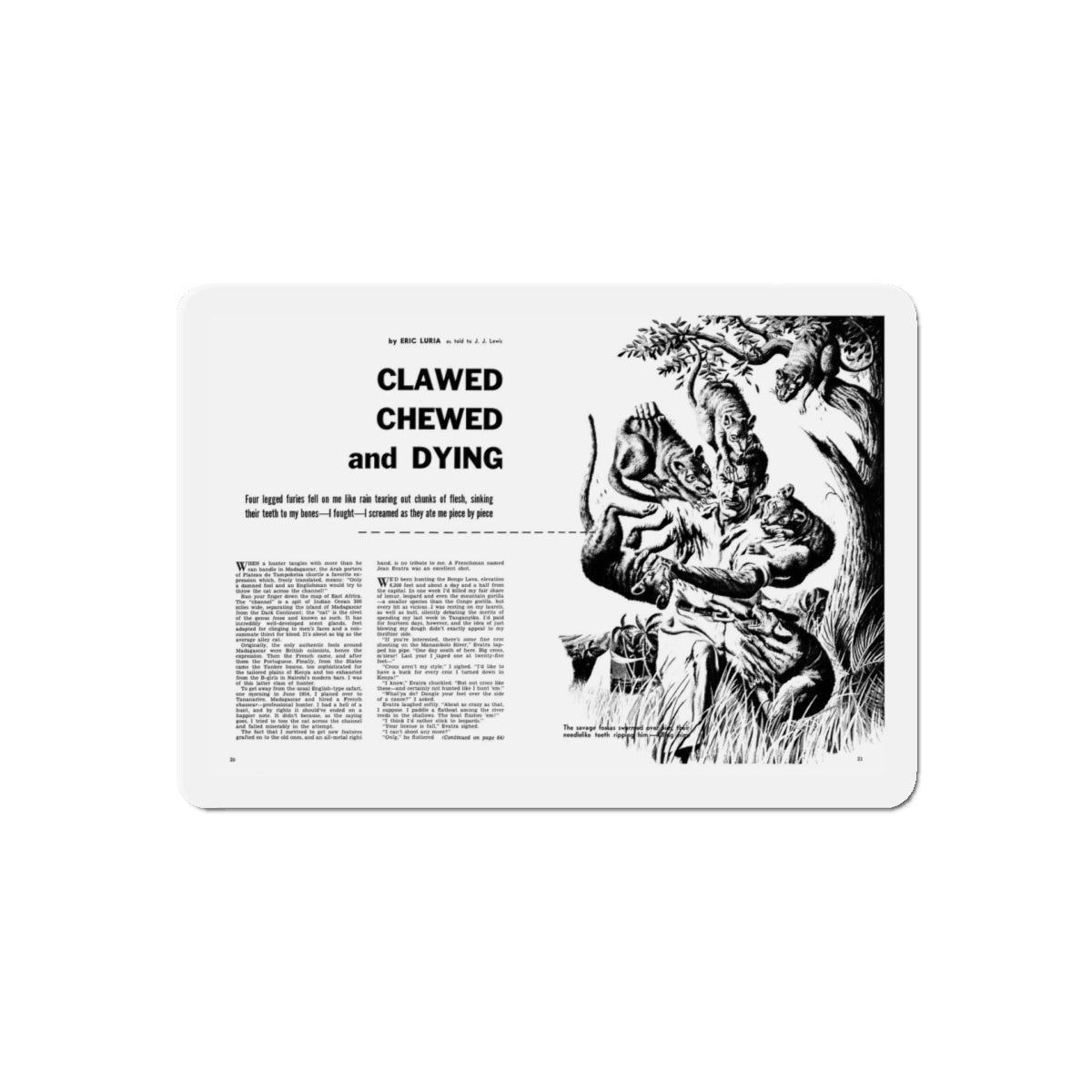 Clawed Chewed and Dying, True Men Stories, December 1958 (Magazine Illustration) Refrigerator Magnet-5" x 5"-Die-Cut-1 pc-The Sticker Space