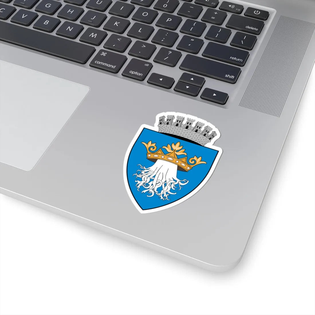 Coa Romania Town Brassó History (Oman) (Coat of Arms) STICKER Vinyl Kiss-Cut Decal - The Sticker Space