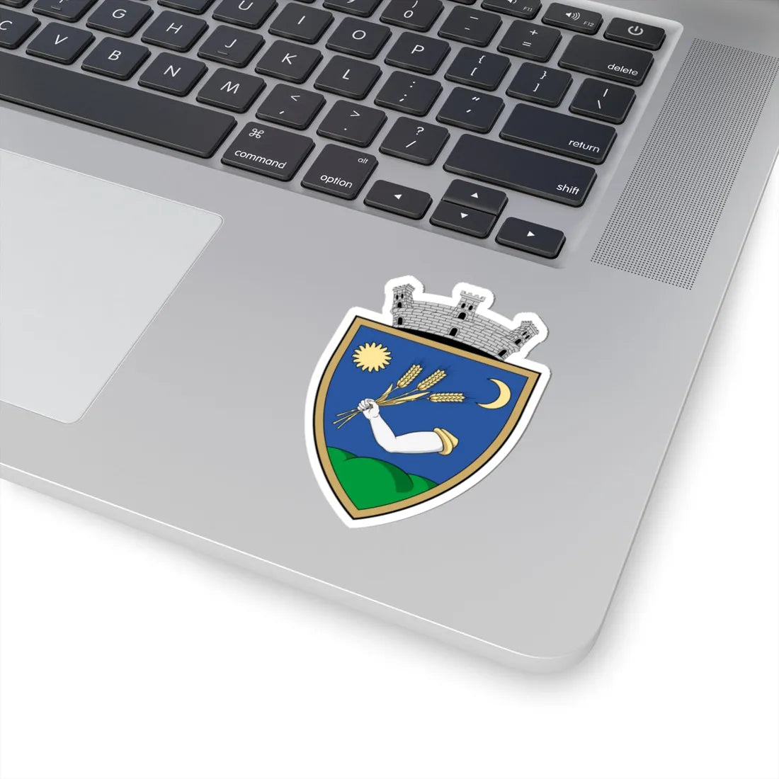 Coa Romania Town Érmihályfalva (Oman) (Coat of Arms) STICKER Vinyl Kiss-Cut Decal - The Sticker Space