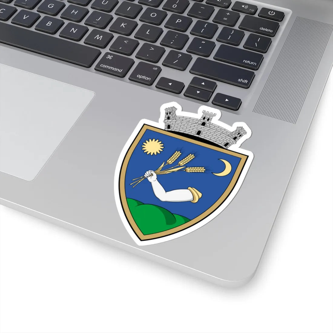 Coa Romania Town Érmihályfalva (Oman) (Coat of Arms) STICKER Vinyl Kiss-Cut Decal - The Sticker Space