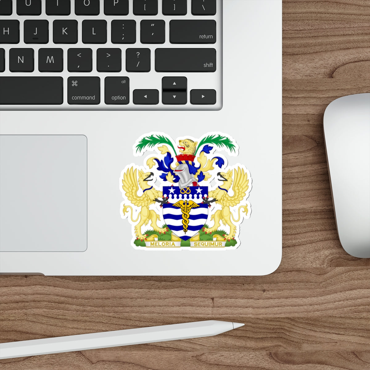 Coat of Arms Brisbane Australia STICKER Vinyl Die-Cut Decal-The Sticker Space