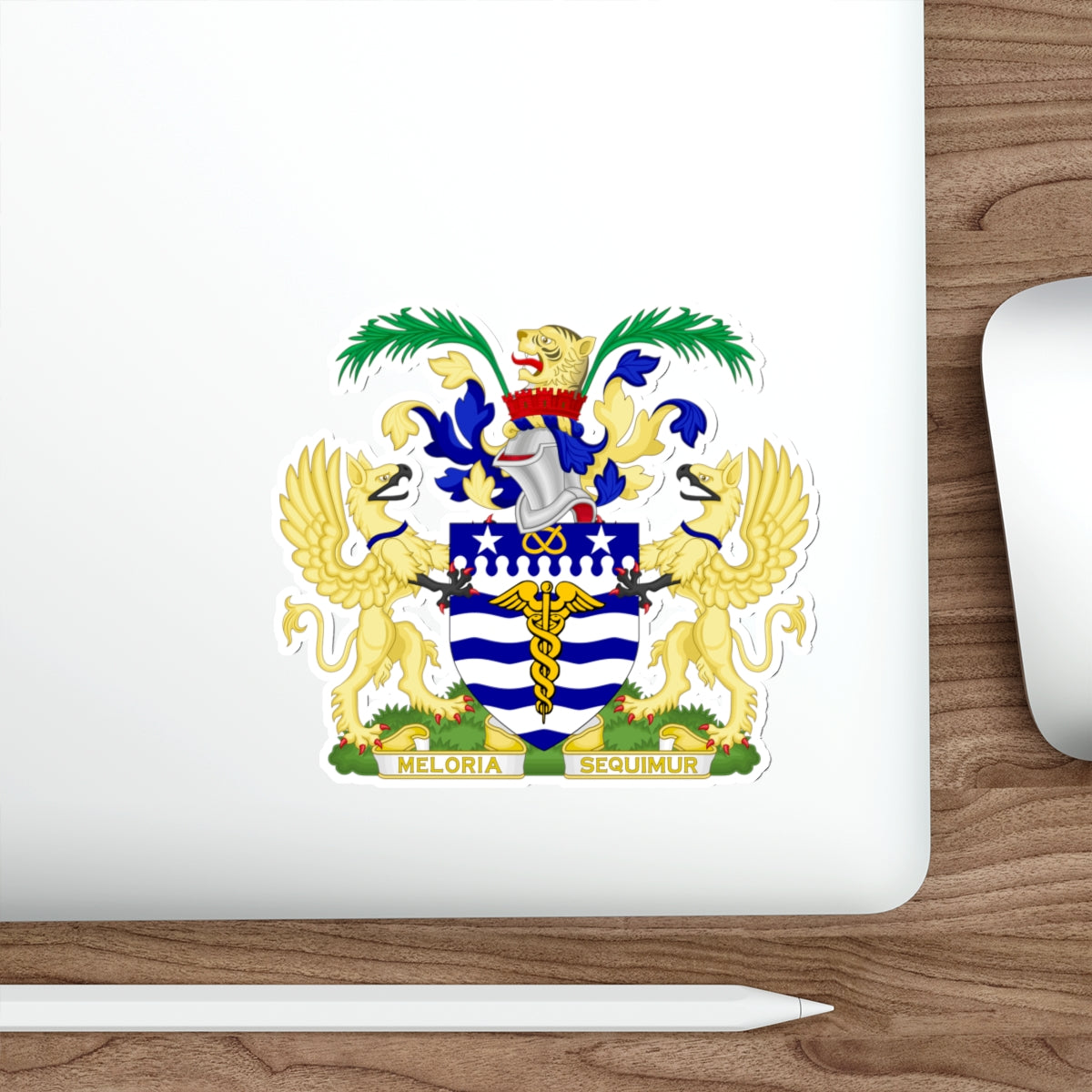 Coat of Arms Brisbane Australia STICKER Vinyl Die-Cut Decal-The Sticker Space