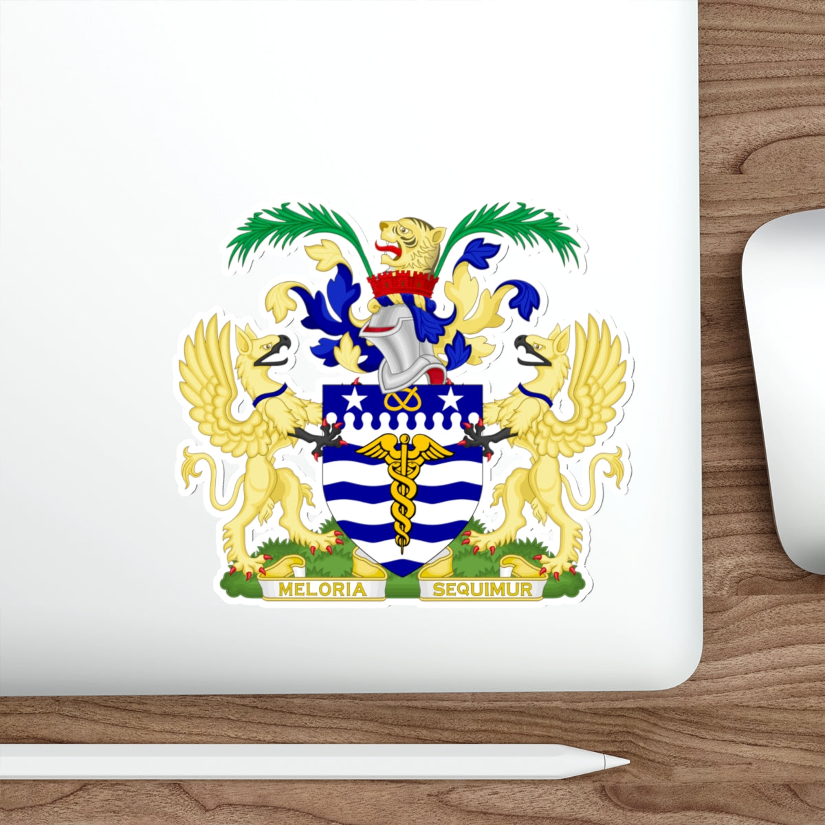 Coat of Arms Brisbane Australia STICKER Vinyl Die-Cut Decal-The Sticker Space