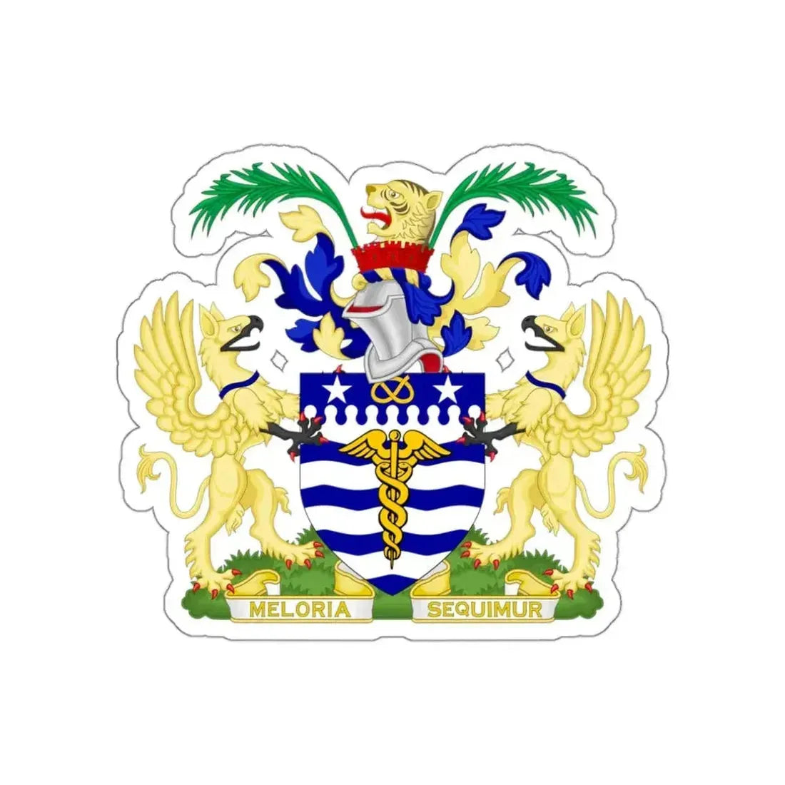 Coat of Arms Brisbane Australia STICKER Vinyl Die-Cut Decal - The Sticker Space