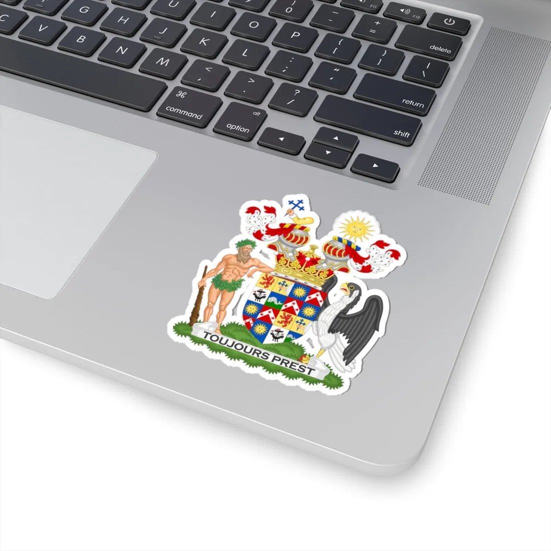 Coat of Arms of the Earl of Antrim (Ireland) (Coat of Arms) STICKER Vinyl Kiss-Cut Decal - The Sticker Space