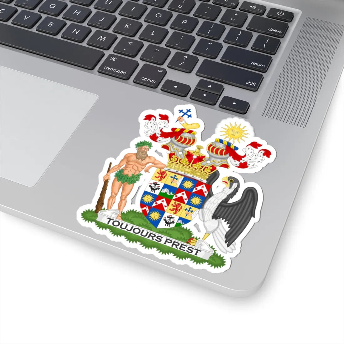 Coat of Arms of the Earl of Antrim (Ireland) (Coat of Arms) STICKER Vinyl Kiss-Cut Decal - The Sticker Space