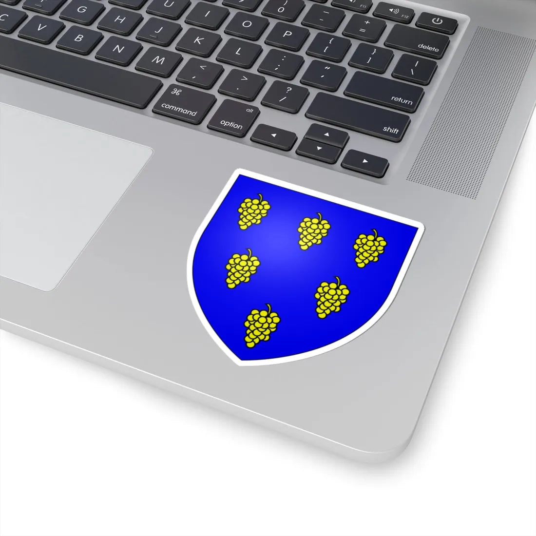 Coat of arms of the House of Bardi from Colle Florence Pisa Tuscany Italy (Italy) (Coat of Arms) STICKER Vinyl Kiss-Cut Decal - The Sticker Space